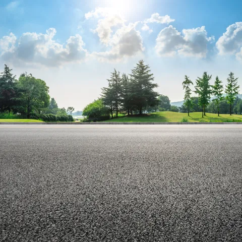 asphalt road in front of trees